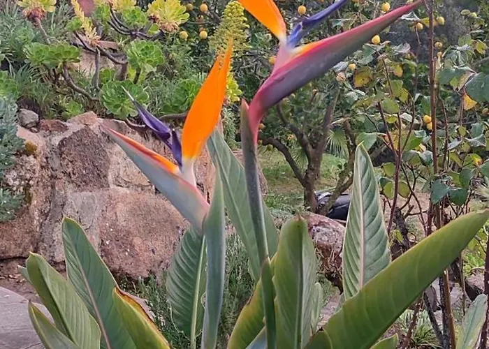 Villa Boheme Costa Brava